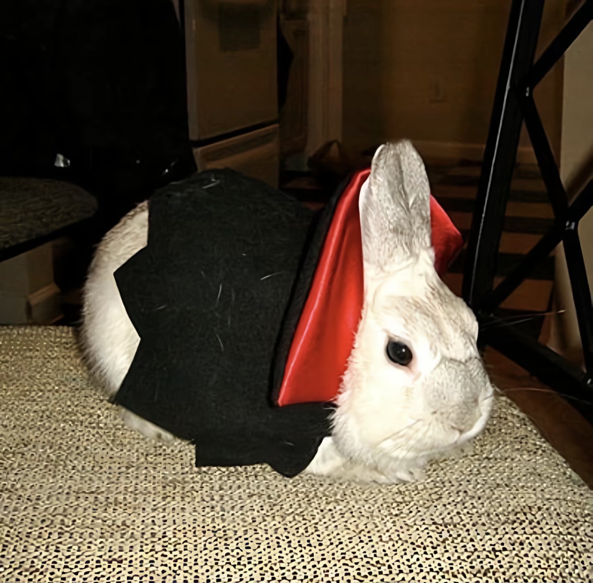Photo 01
